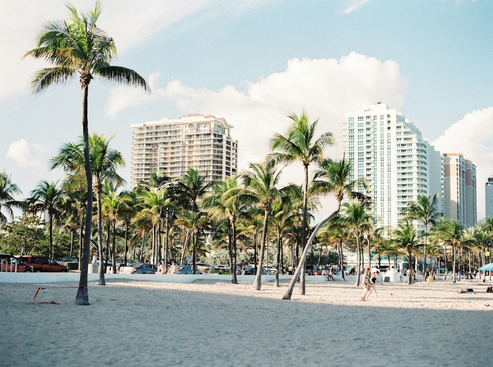 Paisagem urbana de Miami com edifícios e palmeiras